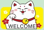 猫 上拾壹