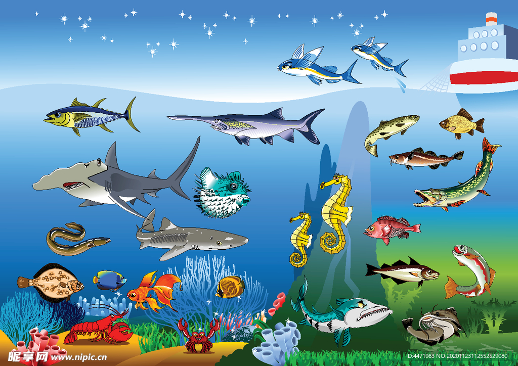 海底乐园生物 水底乐园 水草
