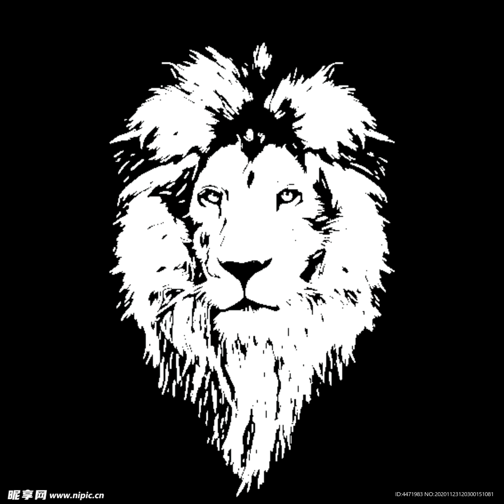 狮子 Lion 涂鸦 动物