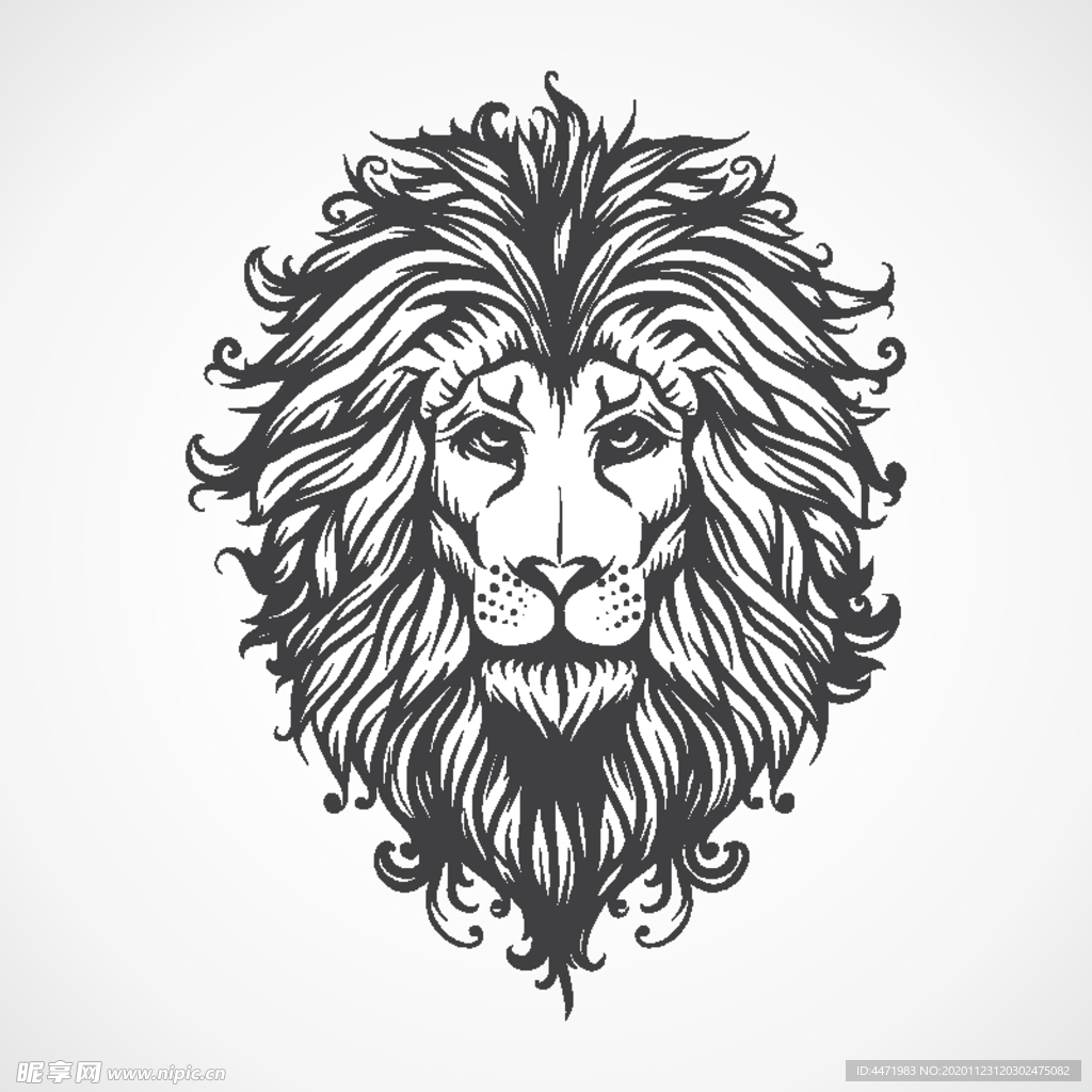 狮子 Lion 涂鸦 动物