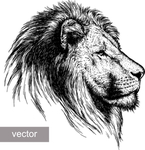 狮子 Lion 涂鸦 动物