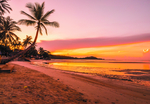 夕阳下的海岸线椰树装饰背景摄影