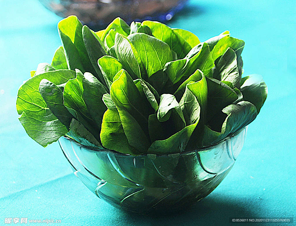 火锅配菜油菜