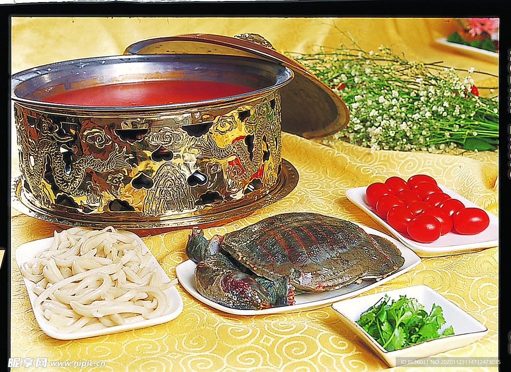 甲鱼老哇塞