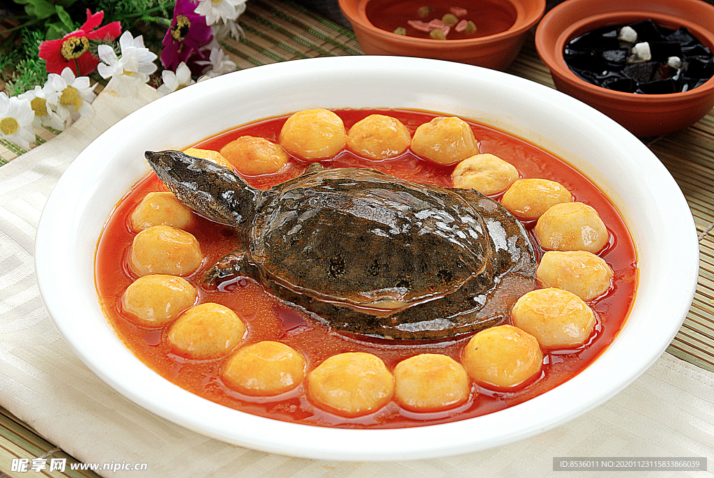 土豆烧甲鱼
