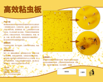 粘虫板海报标签