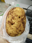 马玲薯