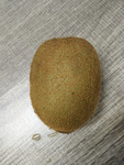 狝猴桃 水果 绿色 果实 新鲜