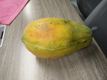 木瓜