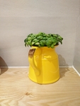 花瓶