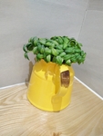 花瓶