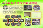 校园文化建设