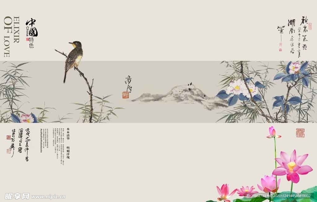 花鸟