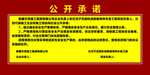 公开承诺
