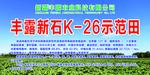 示范田