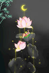 荷花