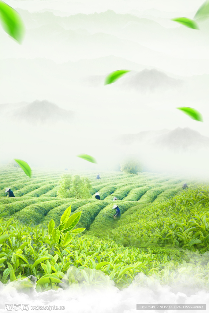 绿色背景