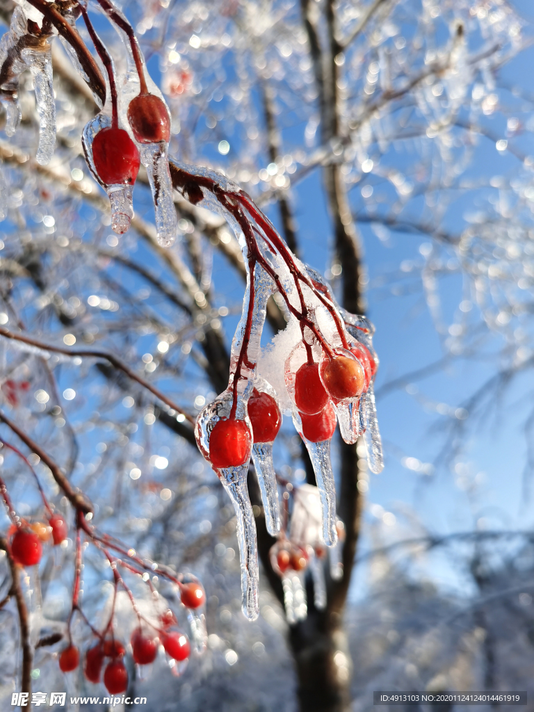 美丽雪景 雪 冰雪 冰雨 长春