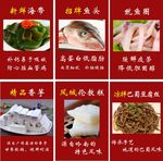 新菜推荐