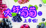 葡萄
