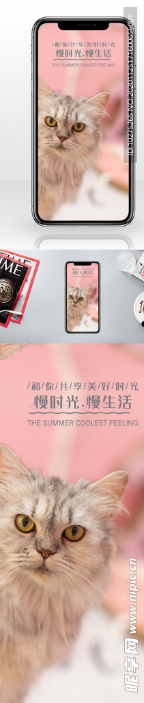 可爱猫咪慢生活手机配图