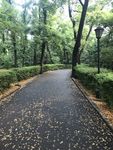 初秋