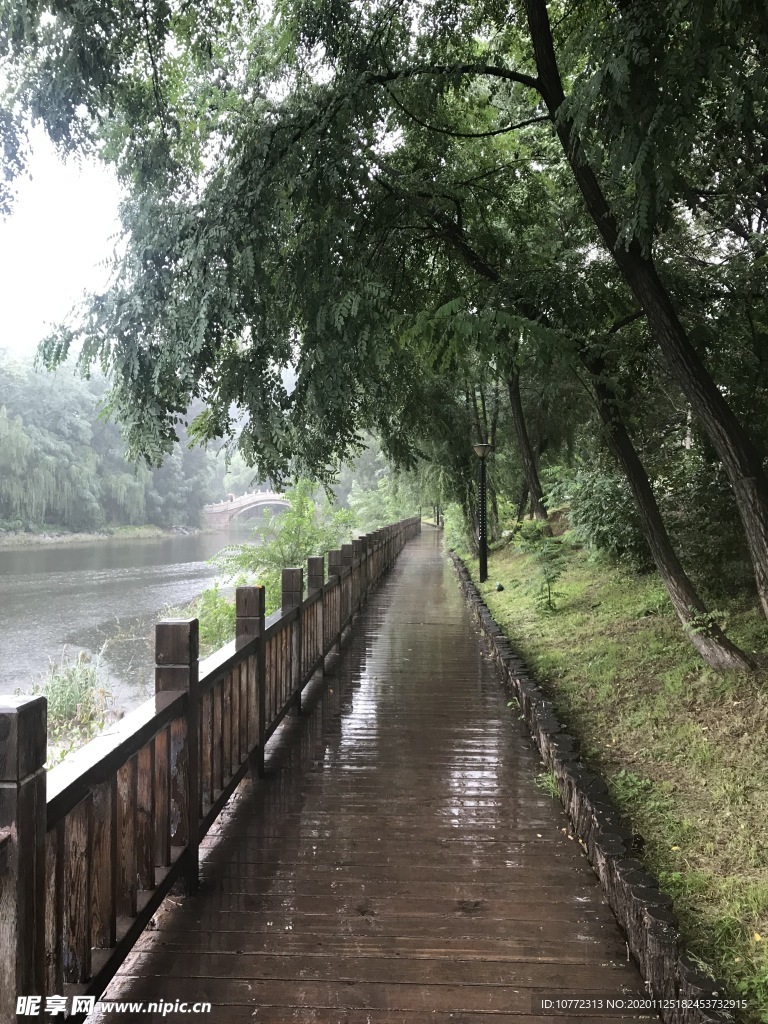 雨后