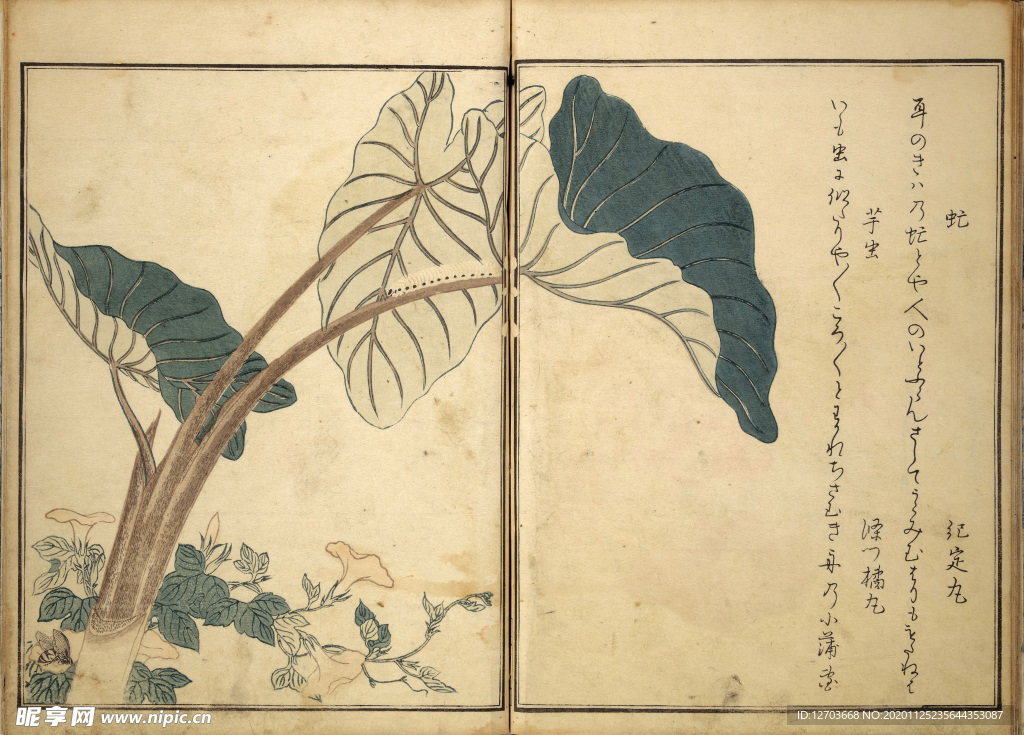 喜多川歌麿版画