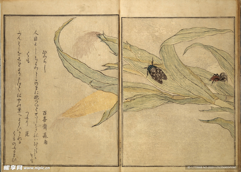 喜多川歌麿版画