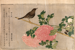 喜多川歌麿版画