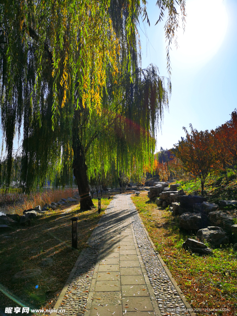 北京 圆明园 秋色