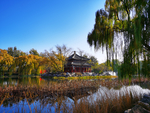 北京 圆明园 秋色