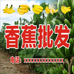 香蕉