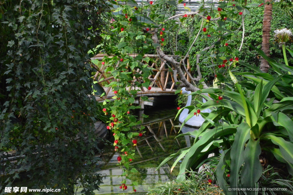 温室风景
