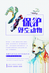 保护野生动物