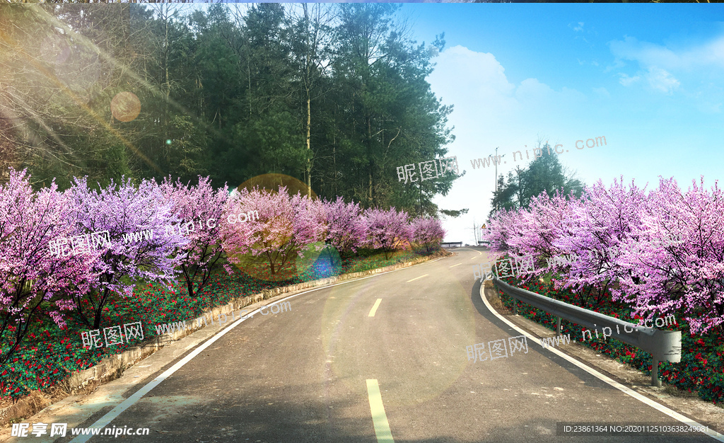 乡村道路改造