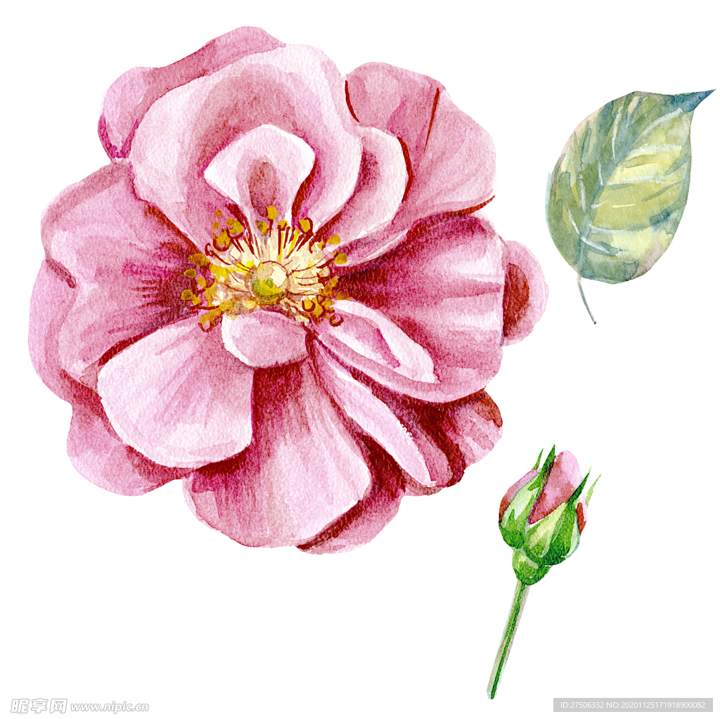 手绘花