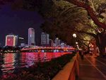 珠江夜景