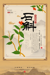 中药药材中医宣传海报素材