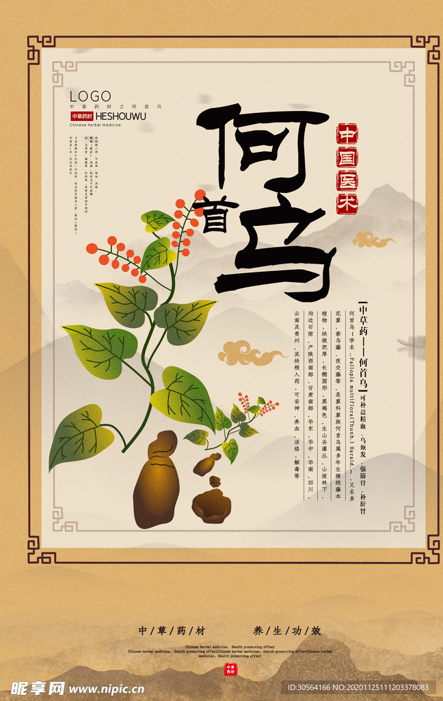 中药药材中医宣传海报素材