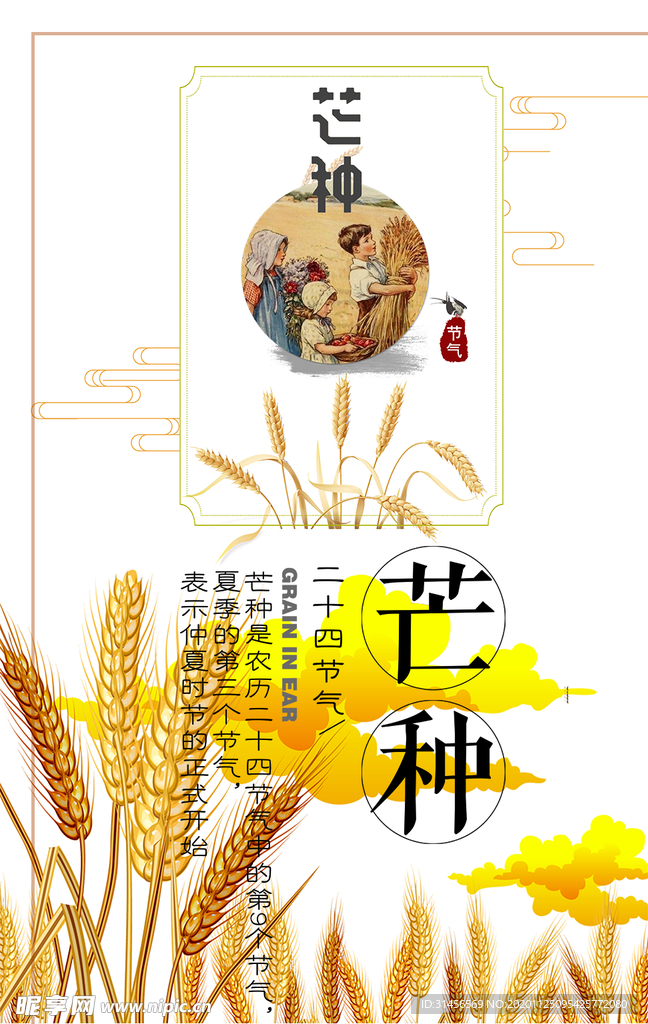 芒种