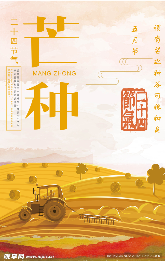 芒种