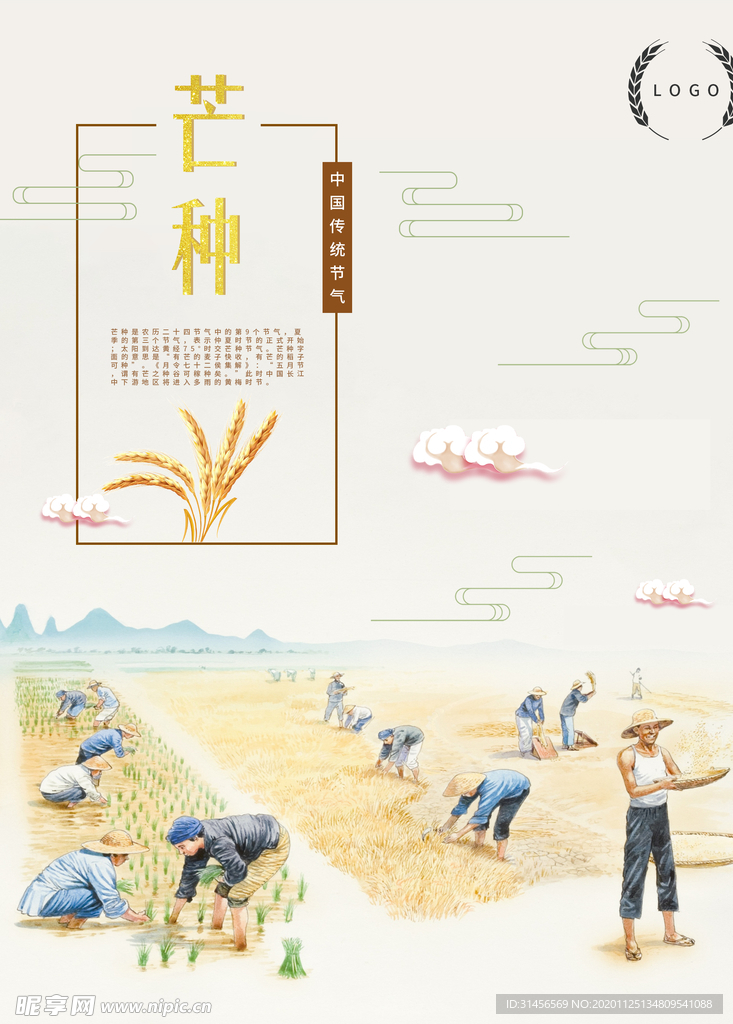 芒种