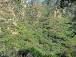 石林峡