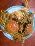 大闸蟹