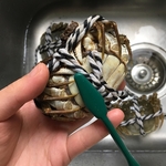 刷螃蟹