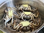 螃蟹