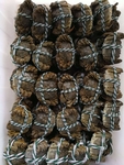 大闸蟹