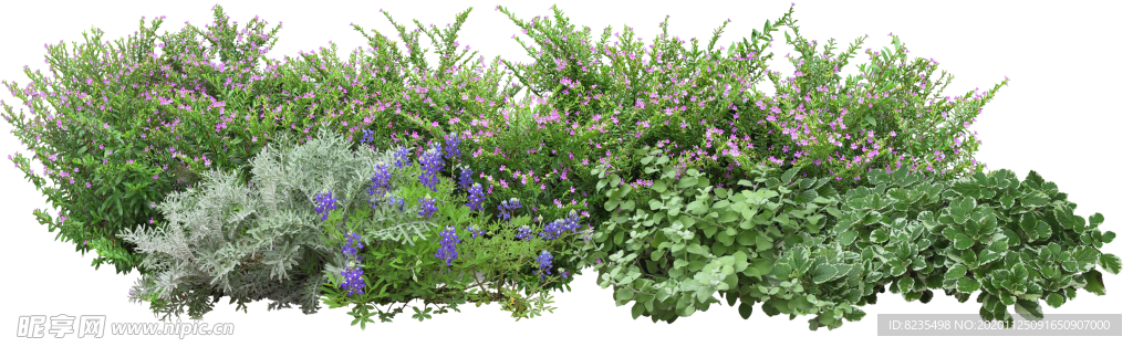 免扣植物