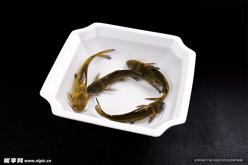 海鲜河鲜江黄